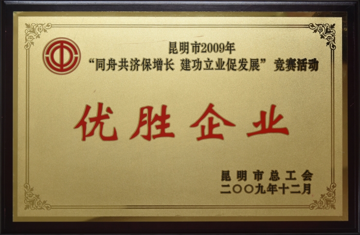 昆明市2009年 同舟共濟保增長(cháng) 建功立業(yè)促發(fā)展 優(yōu)勝企業(yè)